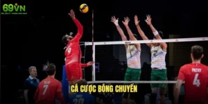 Cá cược bóng chuyền