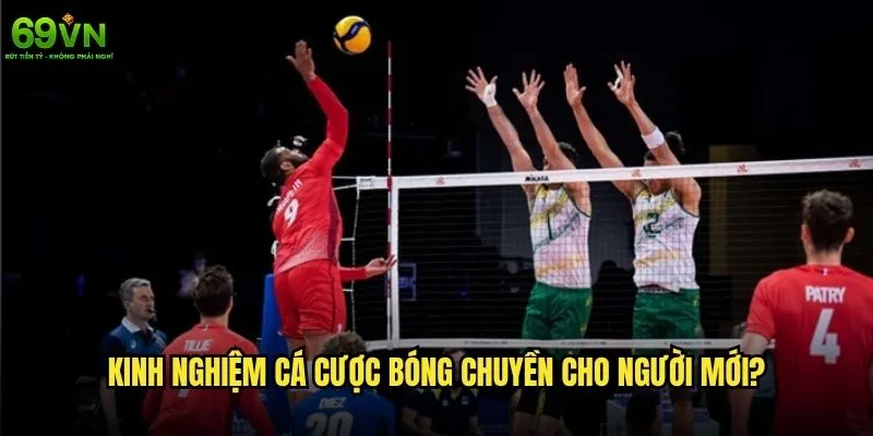 Cá cược bóng chuyền 69vn có thu hút được người chơi? 2 Kinh nghiệm cá cược bóng chuyền cho người mới?